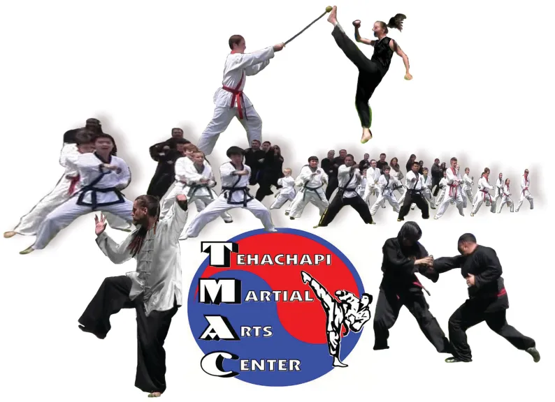A collage of TMAC students of many ages performing kicks and techniques above the TMAC logo.
