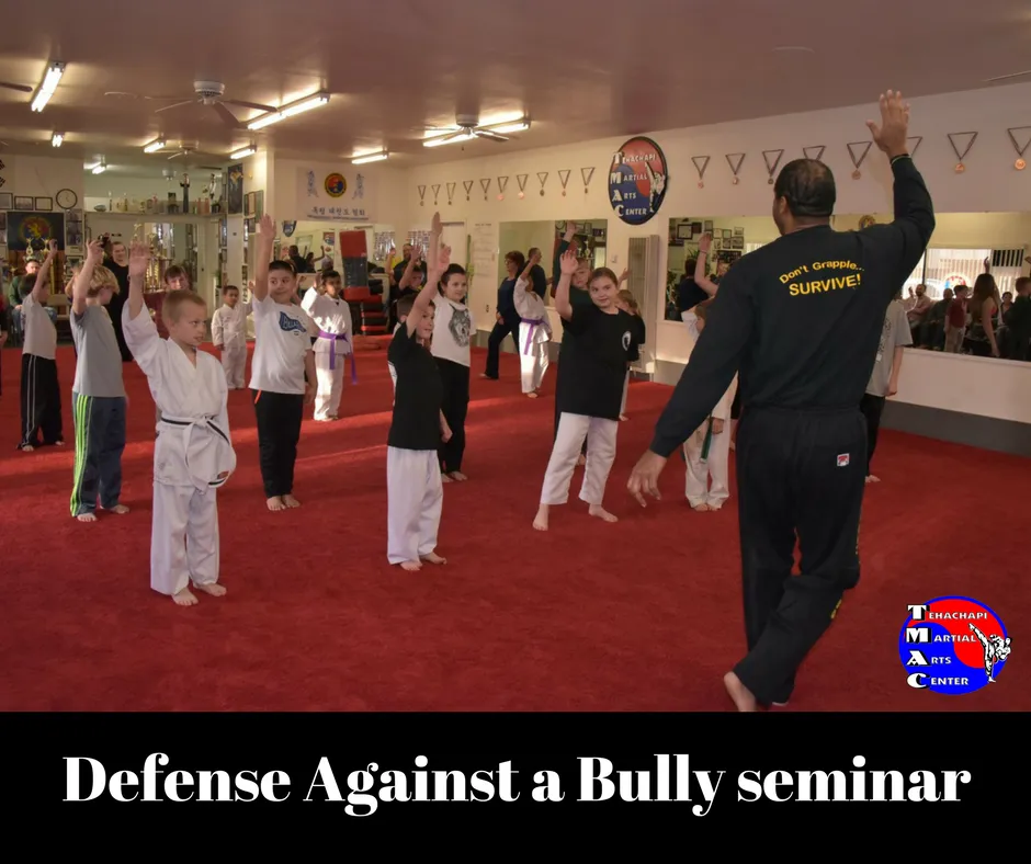 Children and instructors at the Defense Against a Bully seminar.
