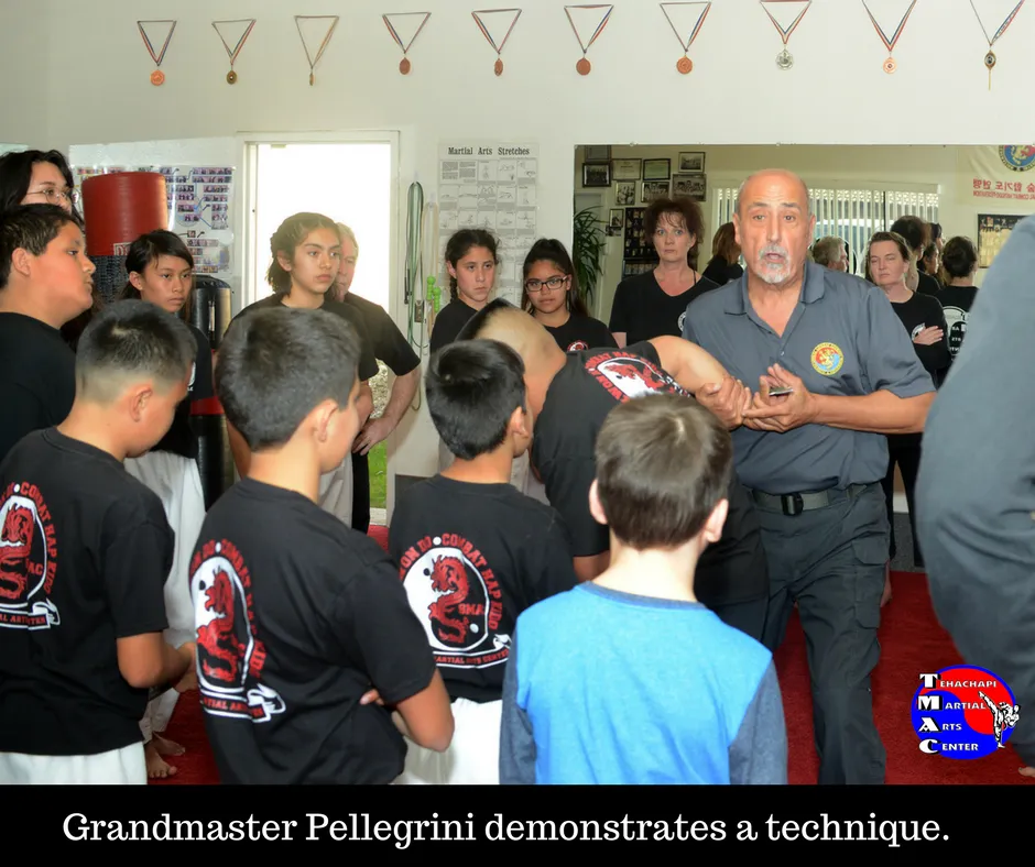 Grandmaster Pellegrini demonstrates a technique.
